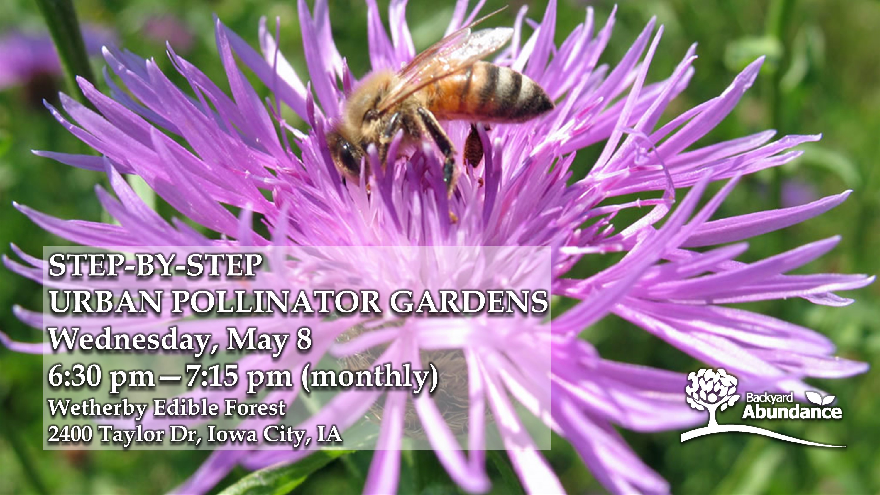 Pollination Urban Step-by-Step Urban Pollinator Gardens | Hoopla