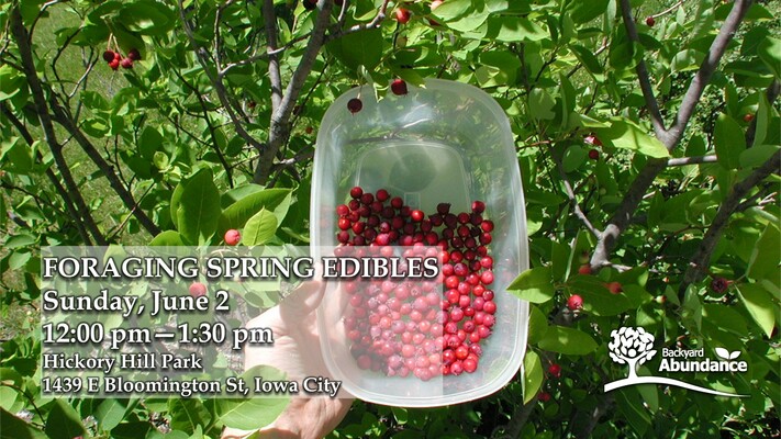 Foraging Spring Edibles