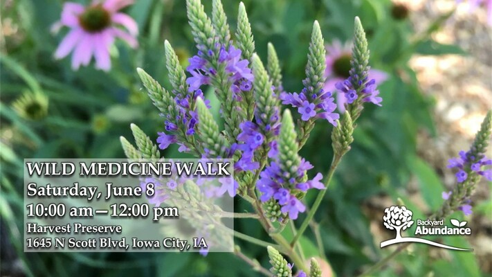 Wild Medicine Walk