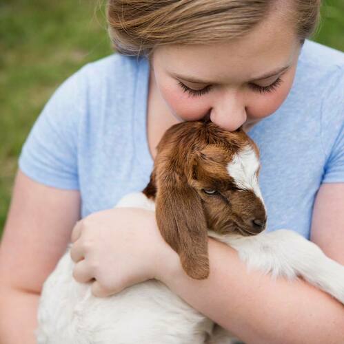 Spring Fest at Bloomsbury Farm