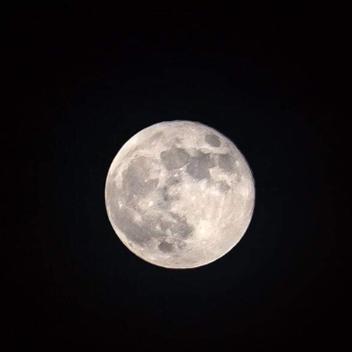 Forest Bathing with the Full Moon at Prairiewoods (in person)