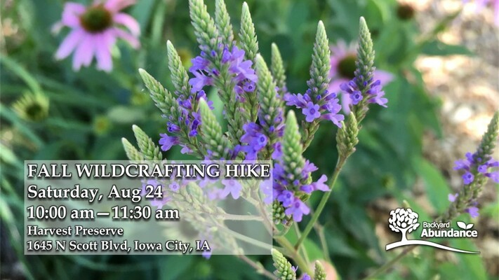 Fall Wildcrafting Hike