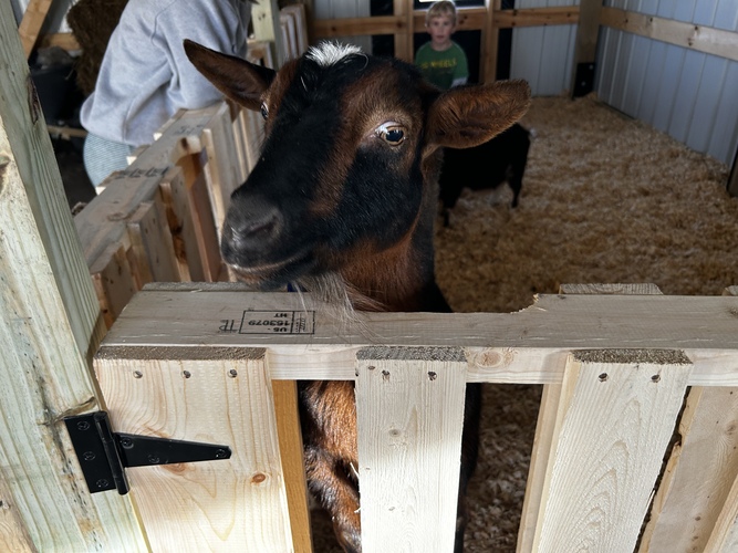 Bockfest Drei with Millstream Brewing Co. & Rock 108