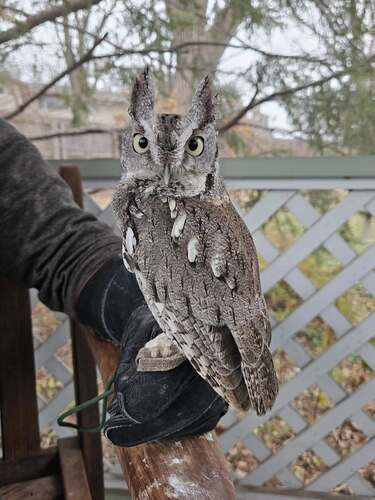 Excellence in the Arts