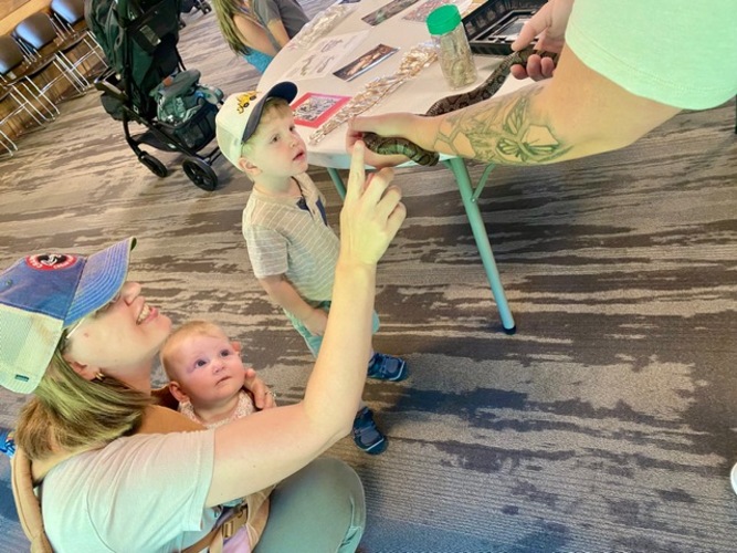 Excellence in the Arts