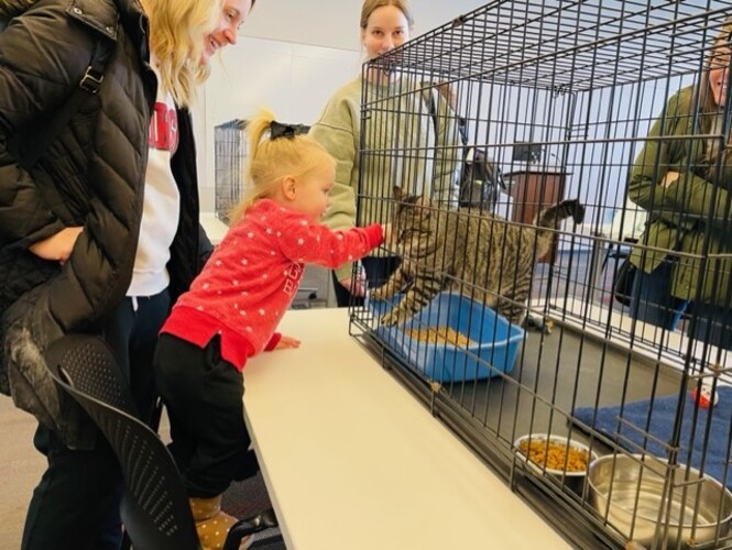 Excellence in the Arts