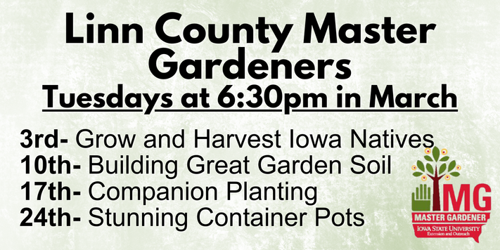 Excellence in the Arts