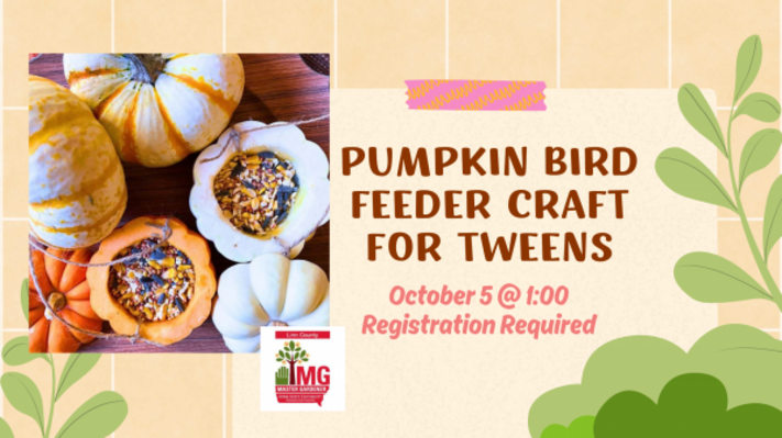 Pumpkin Bird Feeder Craft for Tweens