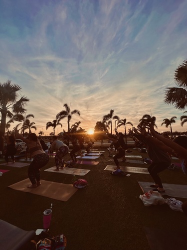 Morning of Movement: Barre 