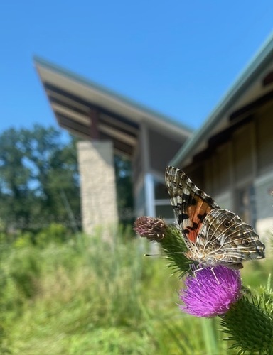 Nature Center Book Club