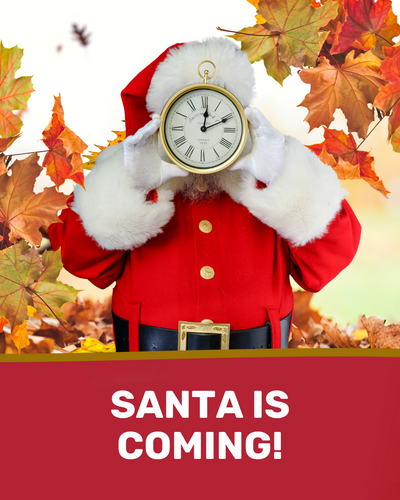 Santa’s Holiday Photo Experience