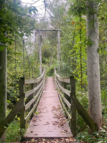 The Practice of Being Here: An Introduction to Mindfulness