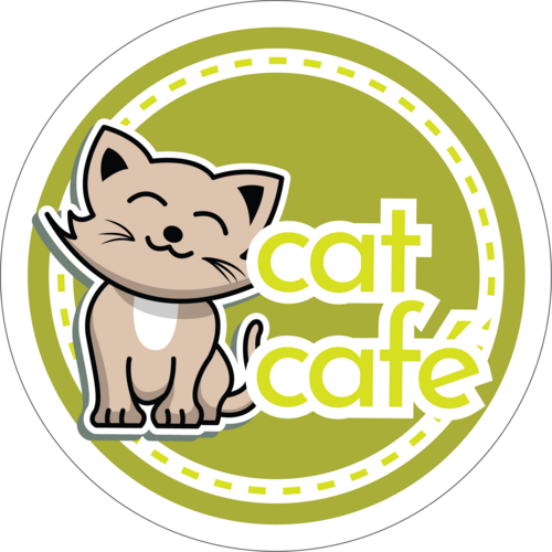 Meet Adoptable Cats 