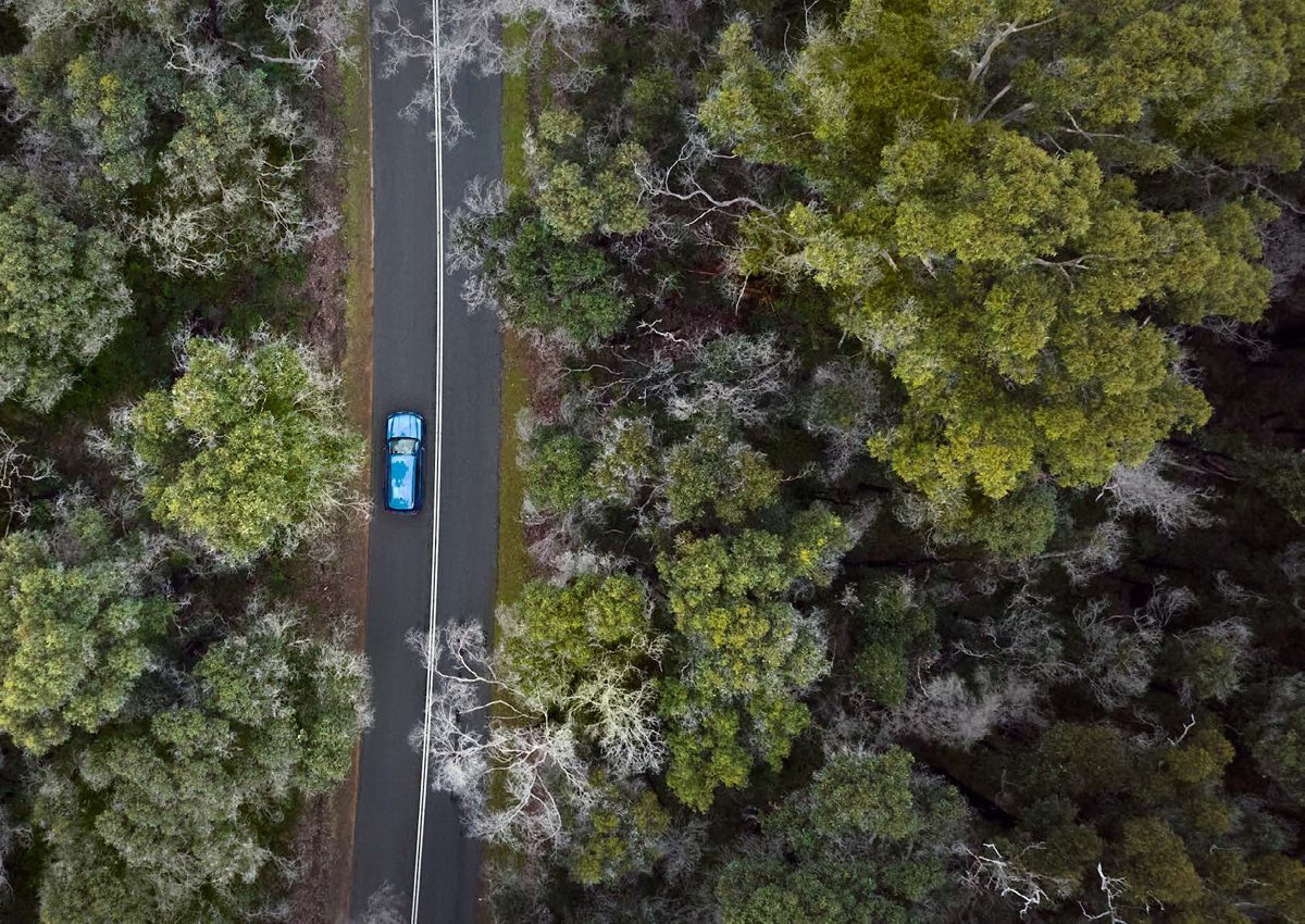 Aerial view of a road through Western Australian forest