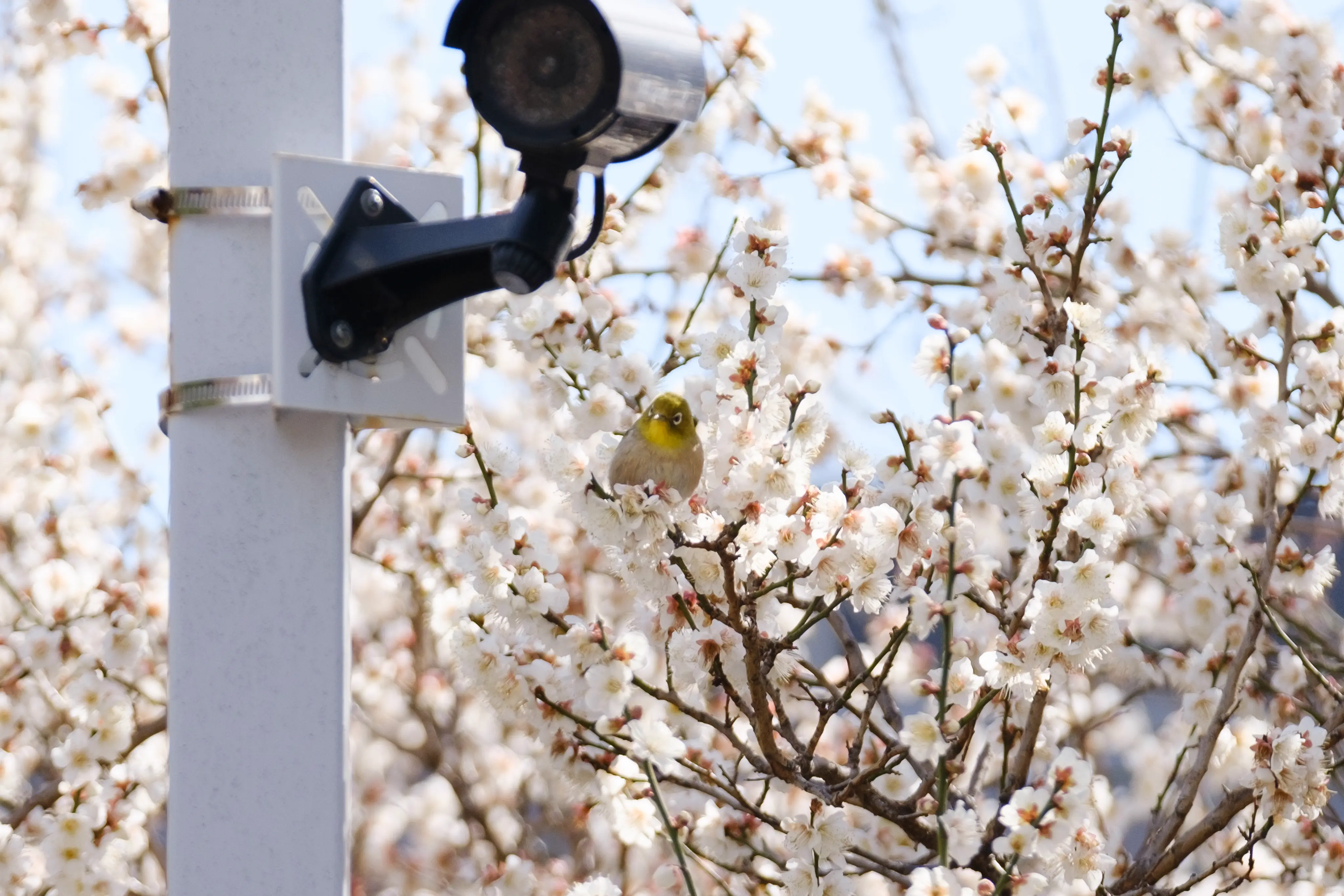 FUJIFILM X-T4 / XF50-140mmF2.8 R LM OIS WR