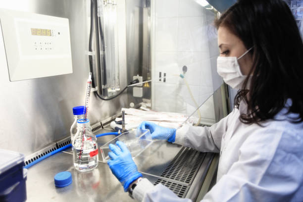 How Much Does Stem Cell Therapy for Knees in Denver Cost?