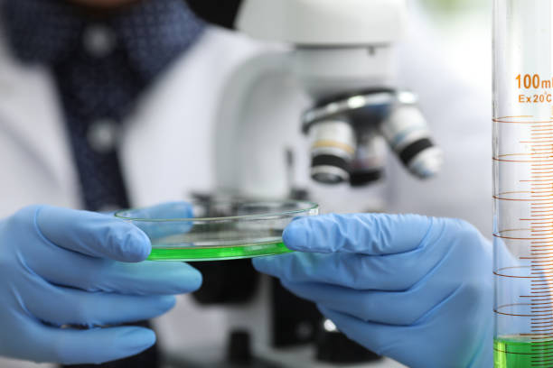 What Are the Potential Benefits of Stem Cell Therapy for Knees in Denver?