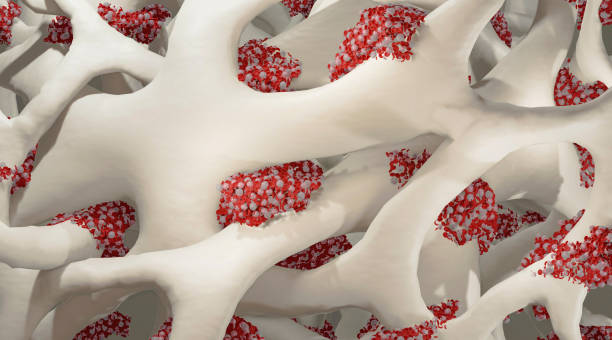 Where Can I Find Recommended Denver Stem Cell Centers?