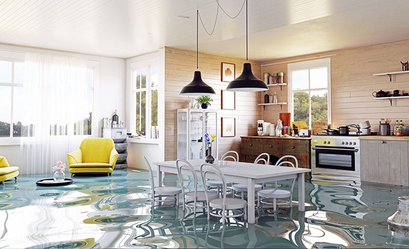 House Flooding with dining table in sight