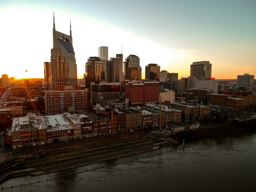 February 2024 in Nashville: Music, Festivals, and Cultural Delights