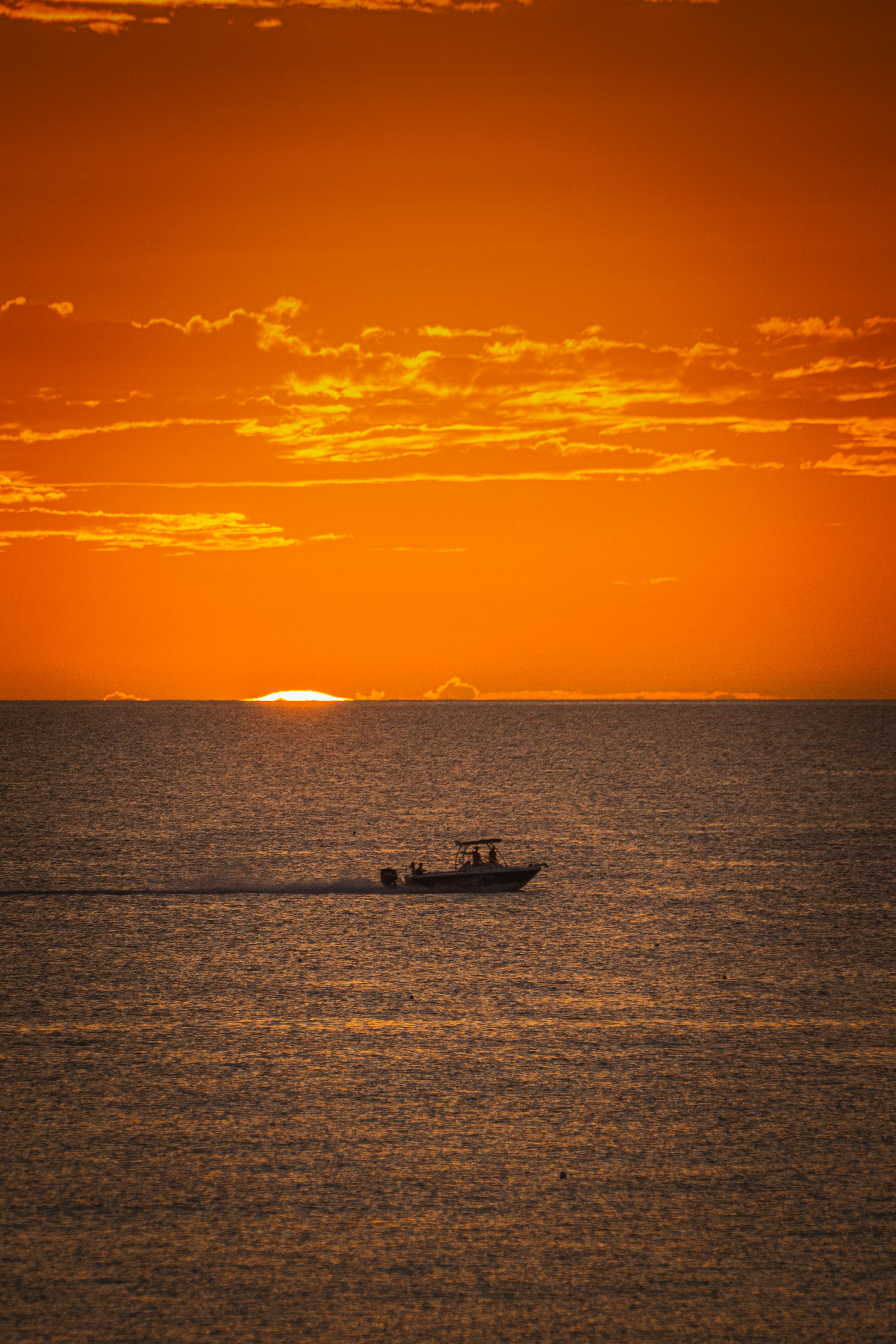 Boat Tours