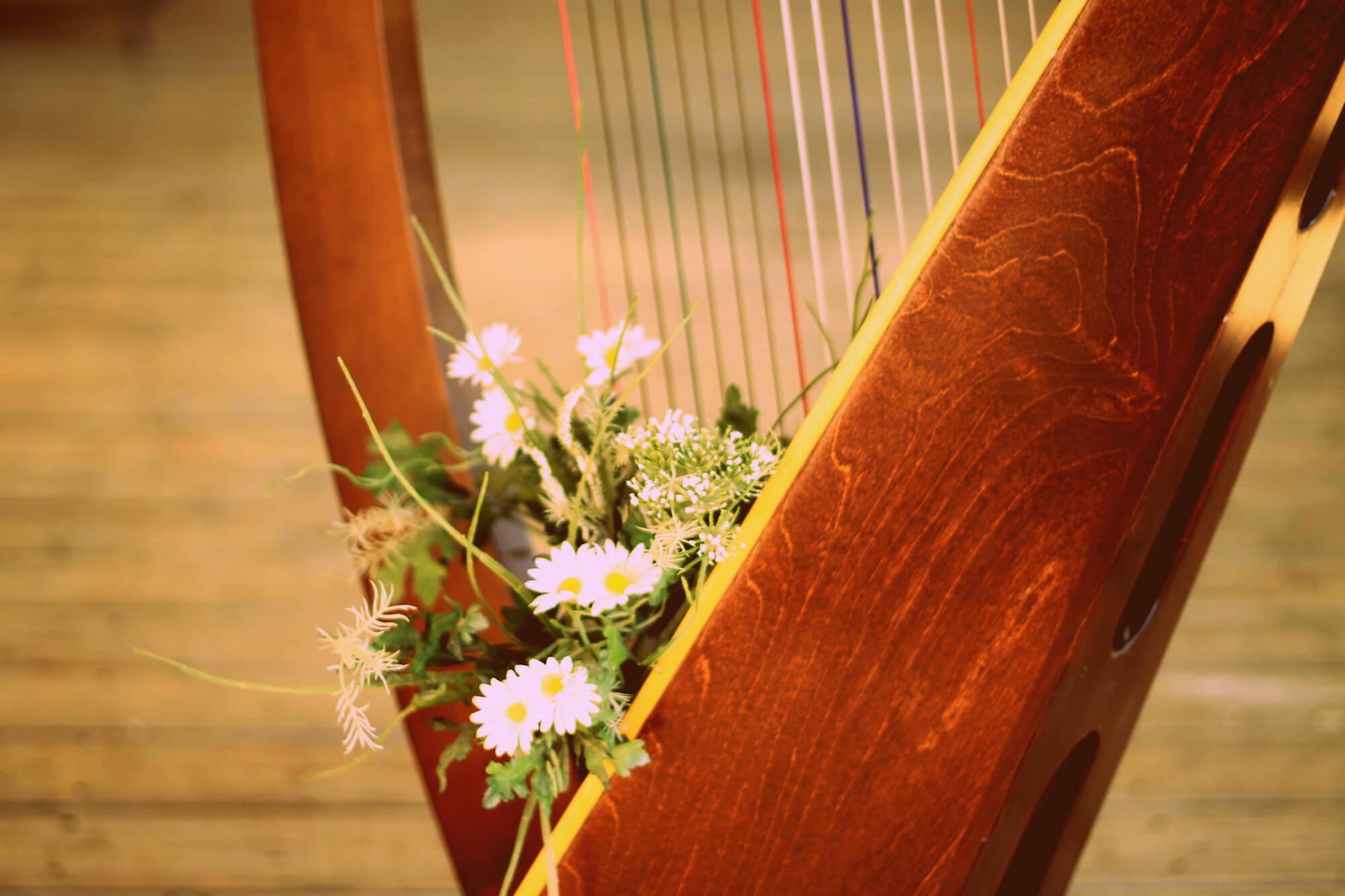 Harpist Hire in Nottinghamshire