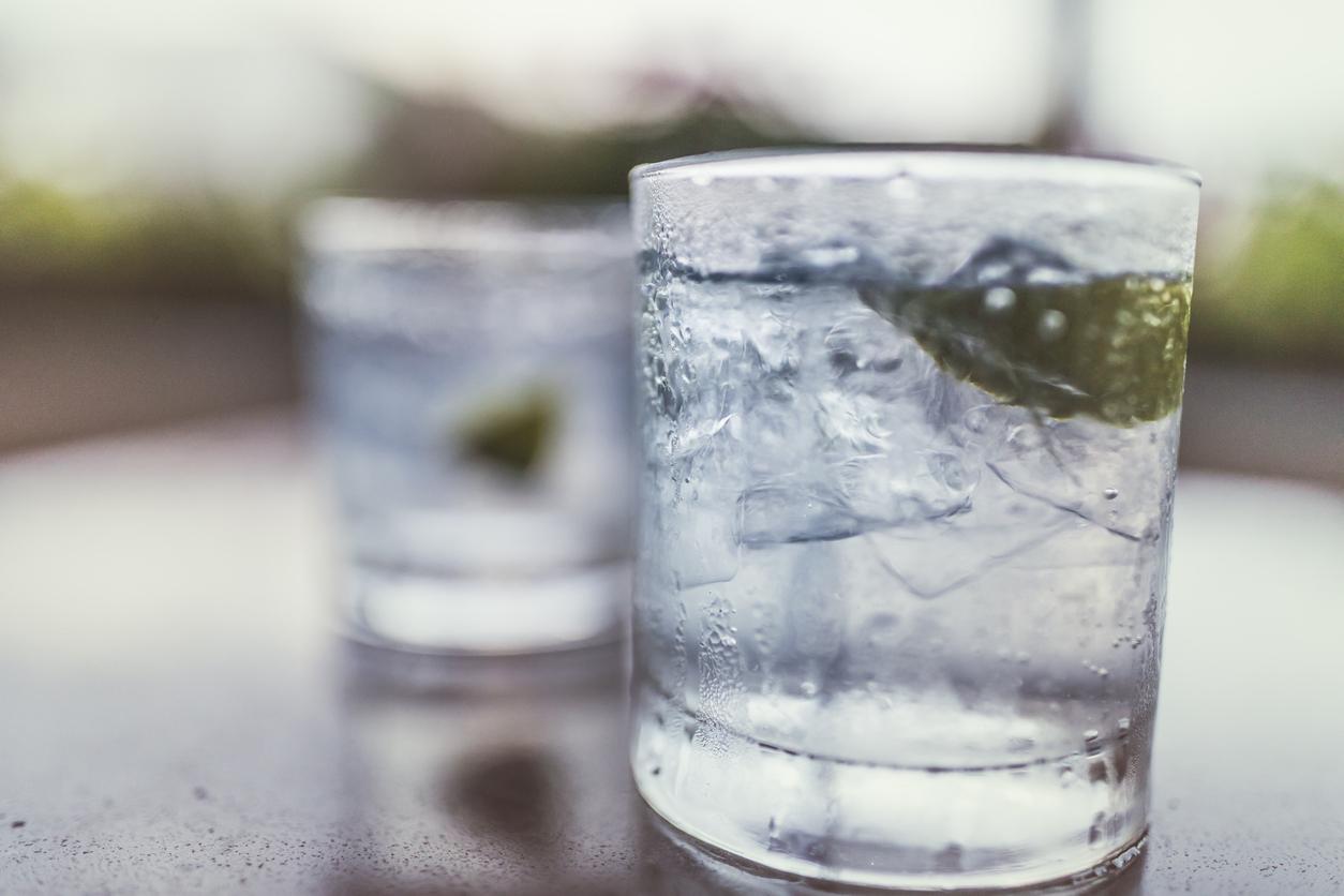 Mobile Gin Bar Hire in County Durham