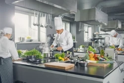 Calvia Beach House SL