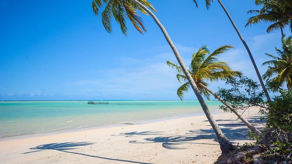 Passeios - Maragogi - Alagoas