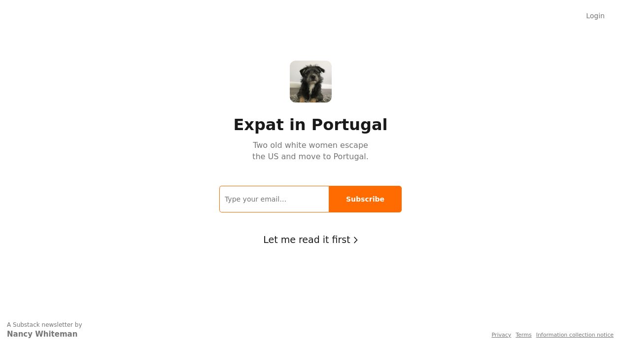 expatinportugal newsletter image
