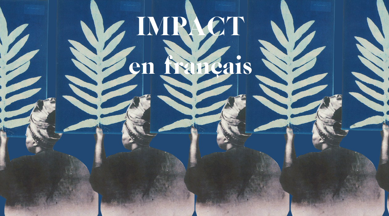 Impact (French version) newsletter image