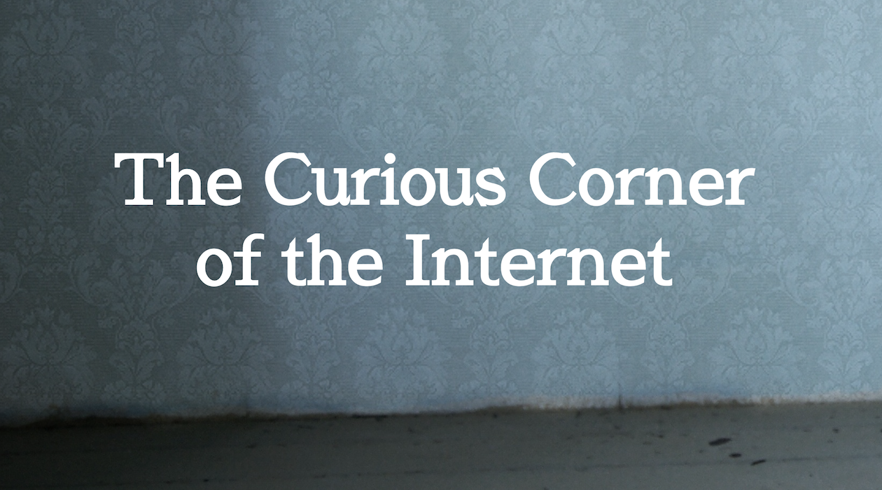 The Curious Corner of the Internet newsletter image