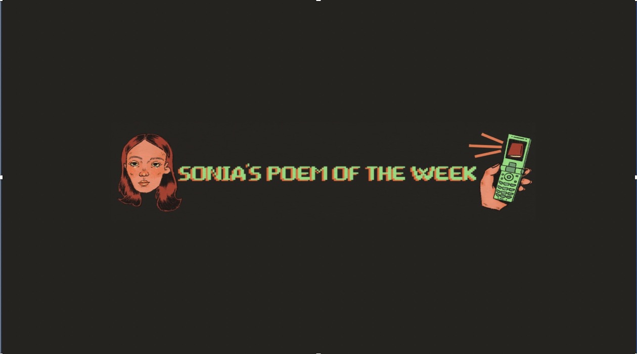 Sonia's Poem of the Week newsletter image