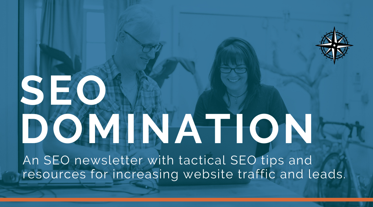 SEO Domination newsletter image