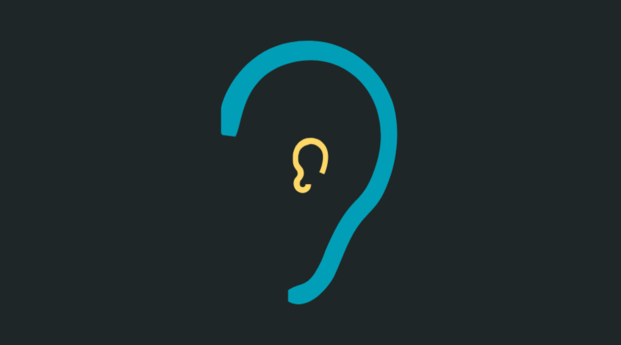 Small Ears newsletter image