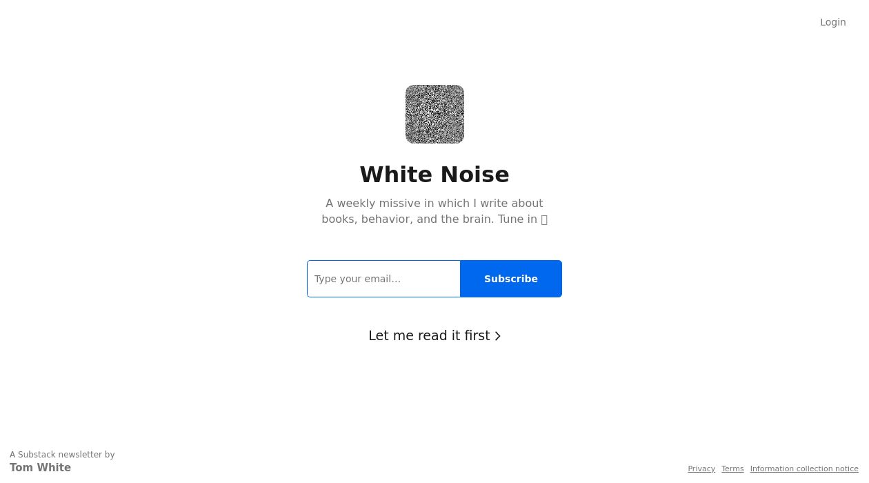 White Noise newsletter image