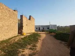 Ferme de 12.5 hectares à vendre à Manouba