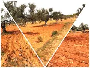 Terrain Agricole de 8285M² à Sidi Bouali Hotmen