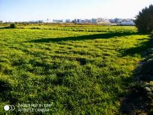 Terrain de 1200 m2 au Maamoura