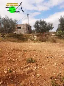 Une adorable Senia 2Hectares à Kalaa Sghira Sabaghin