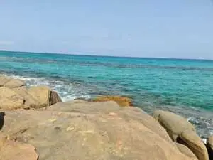 أرض في كركوان 🌊 تقرب 300م للبحر في منطقة سكنية