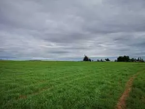 Terrain Agricole de 10 Hectares situé à Oued Zarga