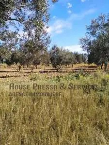 Ferme 5 hectares à Msaken