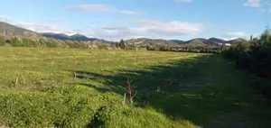 A vendre 1.5 hectare ( tarhouna ) mornag