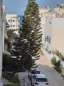 Apprt s2 style duplex à louer pour location vacances à chott mariem sousse