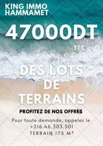 Des Lots de Terrains !