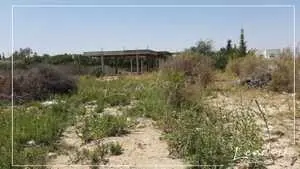 💥Un terrain à vendre à La Soukra💥📞27246345📞