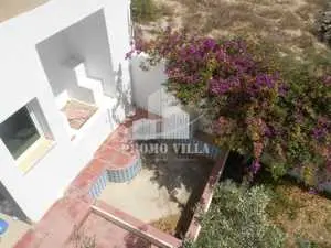 Villa de 2 niveaux avec beau jardin à Hammamet 