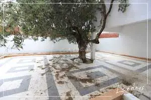 maison sur deux niveaux à hammamet (27246339)