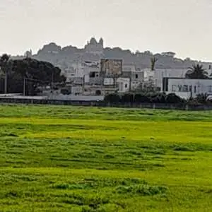 a louer open espace vu sur route la marsa et carrefour